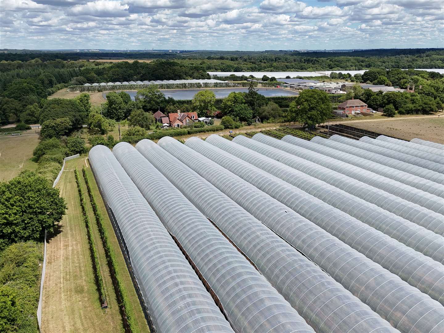 Hong Kong base with global agricultural projects