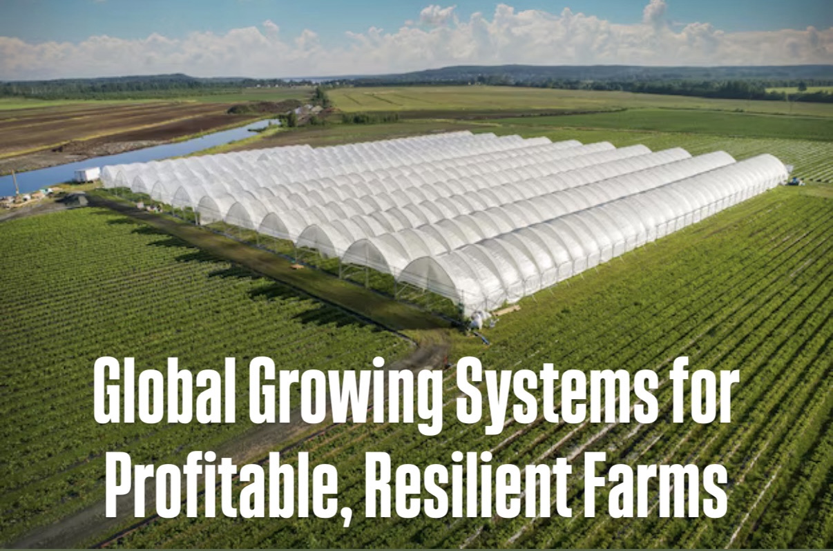 Modern commercial polytunnels and crops