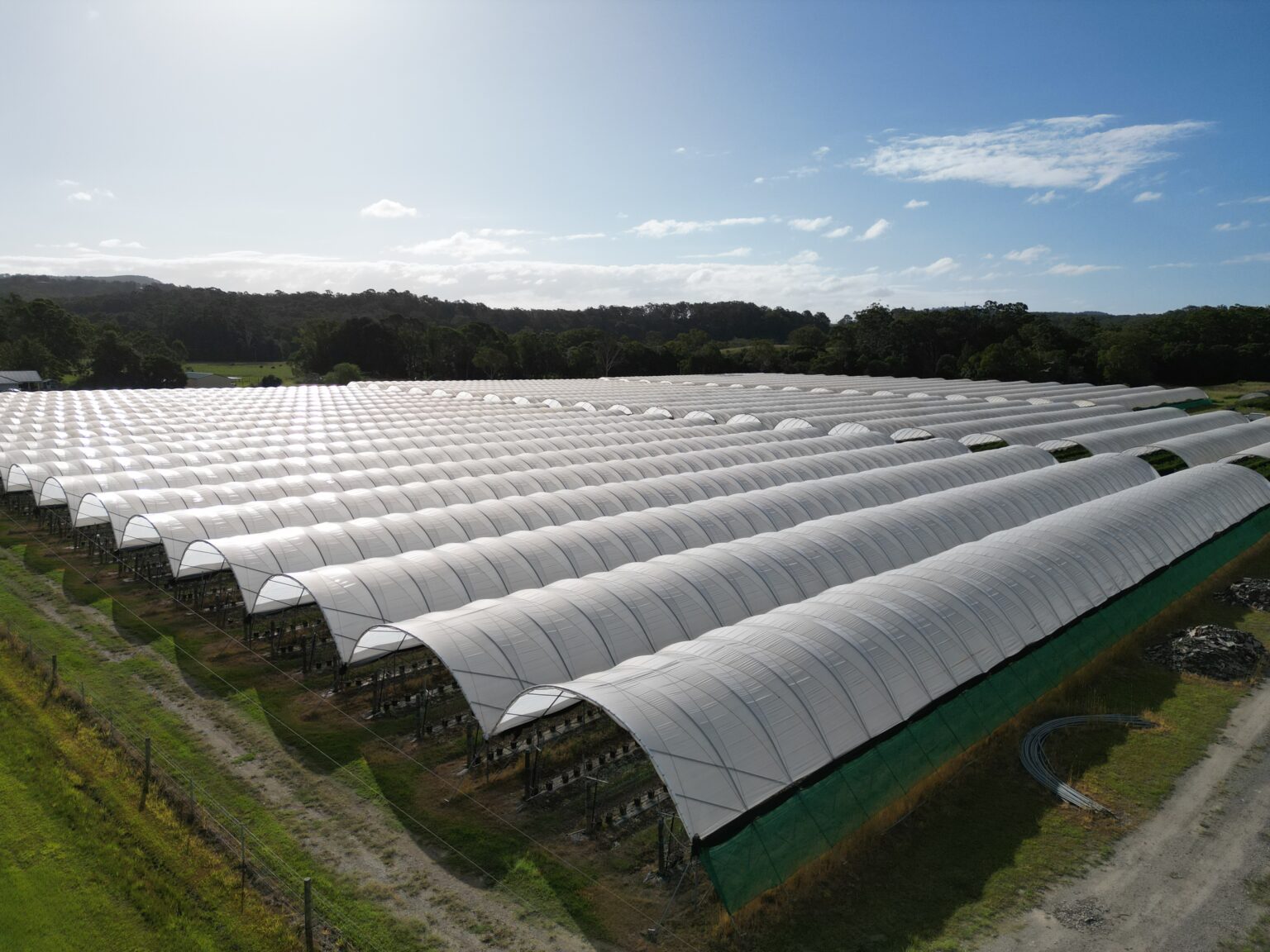 Large commercial polytunnel installation
