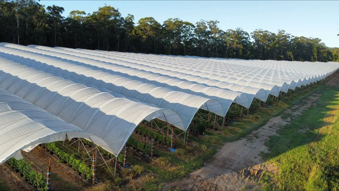 Multi-span polytunnel block