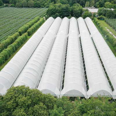 Commercial polytunnel structures