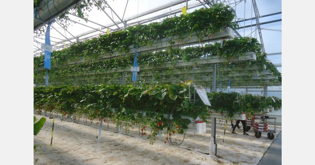 Drainage and irrigation return from gutters