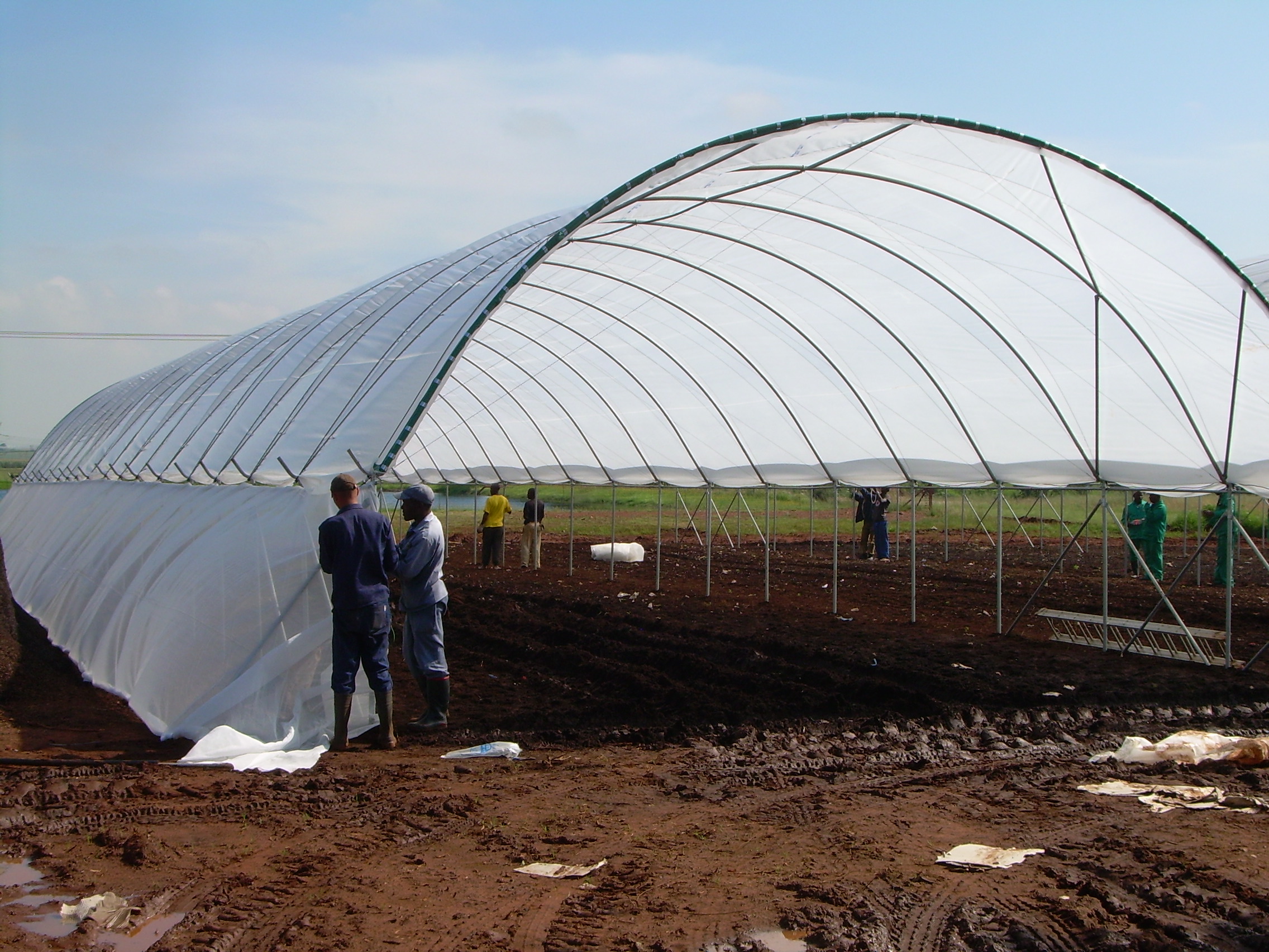 Insect net on tunnel side walls